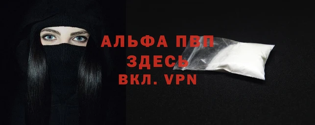 молекула духа Новодвинск