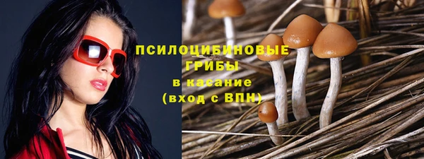 mdpv Липки