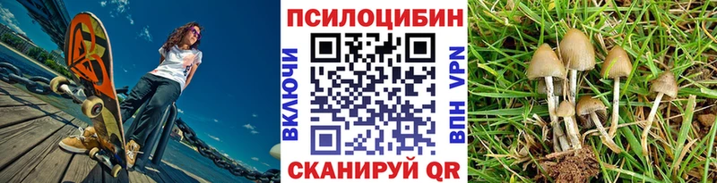 mega   Мурино  Псилоцибиновые грибы MAGIC MUSHROOMS 