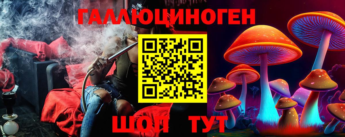 Галлюциногенные грибы MAGIC MUSHROOMS  Вход с VPN  Мурино 