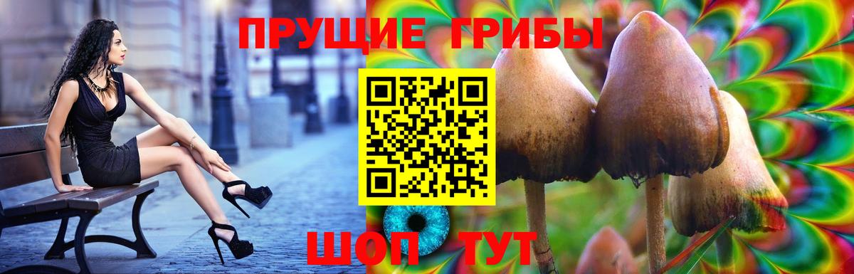 Каннабис  Мурино  Канабис  Вход с VPN  МЕТ  Меф МЯУ МЯУ   Гашиш  A-PVP СК кристаллы  Cocaine  МДМА 
