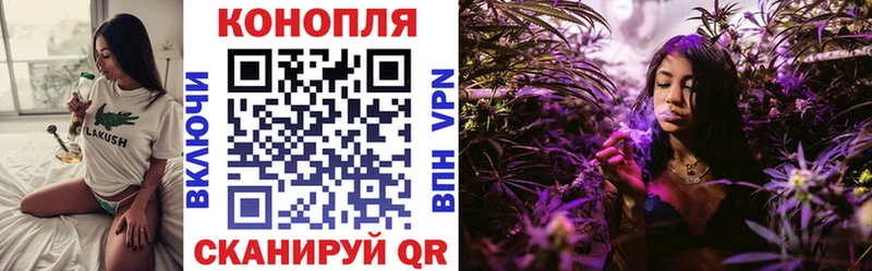 Шишки марихуана планчик  Мурино 