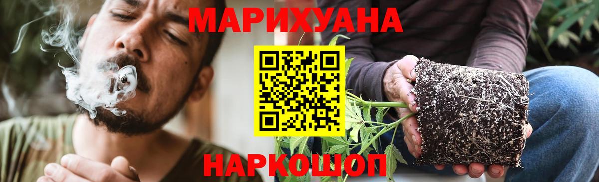 Канабис ГИДРОПОН  Шишки марихуана сатива  Мурино  Каннабис SATIVA & INDICA  Вход с VPN 